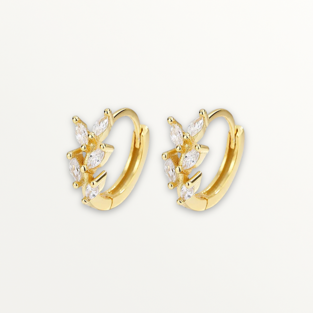 Fash Hoop Earrings Gold